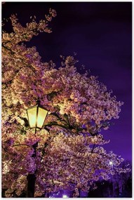 Poszterek 80x120 Éjszakai motívum a nappaliba