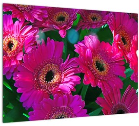 Kép - virágok (üvegen) (70x50 cm)