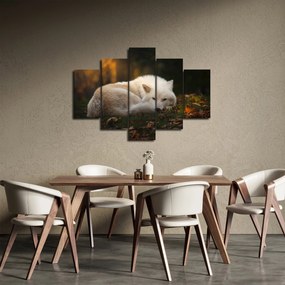 Kép - Pihenő farkas (150x105 cm)