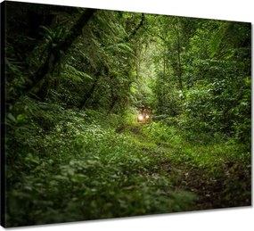 Vászonkép 50x40 Quad Négy kerék Terep