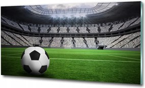 Fotó kép edzett üveg Labda a kapuban 100x70