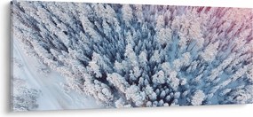 Havas fák képe (120x50 cm)