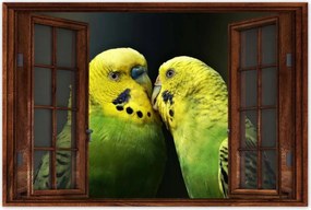 Poszterek 120x80 Szerelmes papagájok