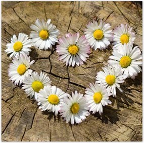 Poszterek 30x30 Kamilla szív