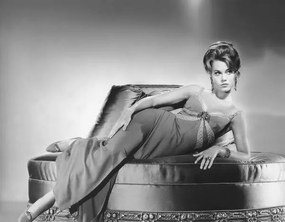 Művészeti fotózás Jane Fonda, (40 x 30 cm)