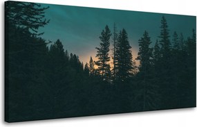 Vászonkép Természet Erdő alkonyatkor Éjszaka 80x40 cm