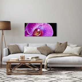 Részletes kép az orchidea virágról (120x50 cm)