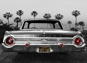 Fotográfia Ford Galaxie 500XL, Larry Butterworth