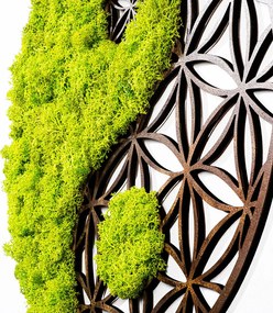 Fa és moha fali dekoráció, yin-yang, 44 cm