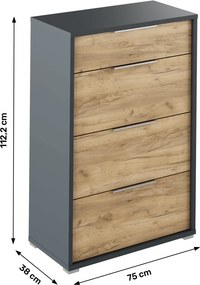 Fiókos komód, grafit/tölgyfa artisan, RIOMA NEW TYP 22