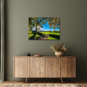 Kép - mező, kilátás (70x50 cm)