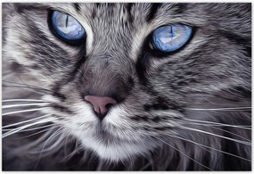 Poszterek 155x105 Cica Cicák