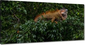 Vászonkép 180x90 Állatok
