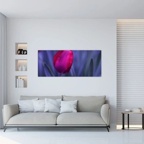 Tulipán bimbó képe (120x50 cm)