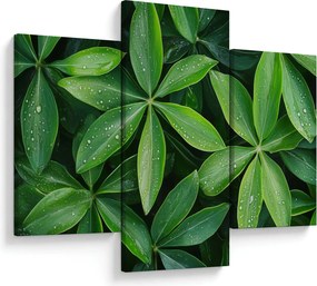 Kép - Levelek harmatcseppekkel (90x60 cm)