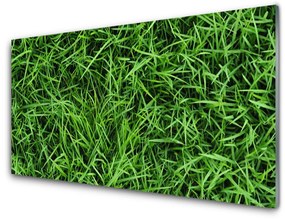 Akril üveg kép fű Lawn 100x50 cm
