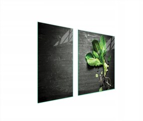 Üveg Tűzhelyvédő Főzőlap 90x52 Bazsalikom Edzett Üveg