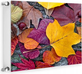 Mágneses Radiátorvédő 60x60 Levelek Fotótapéta