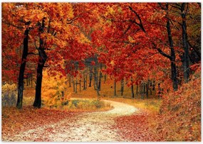 Poszterek 100x70 Tájkép