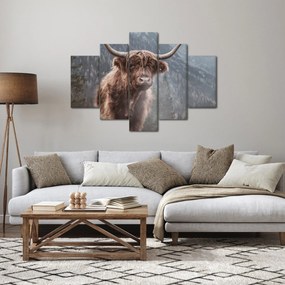 Kép - Highlander tehén (150x105 cm)