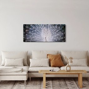 Kép - Fehér páva (120x50 cm)