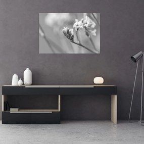 Kép - Virágzó virág (90x60 cm)