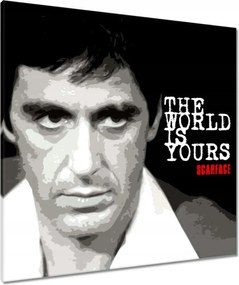 80x80-as képek A Világ a Tiéd Pacino