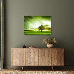 Kép - Az élet fája (üvegen) (70x50 cm)