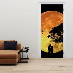 Fotótapéta ajtóra - Árnyak a holdfényben (95x205cm)