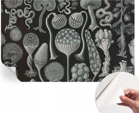 Divatos öntapadós fali tapéta Furnér Varázslatos növények 416x254 cm