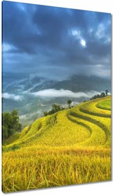 Festmények 80x120 Kilátás Tájkép