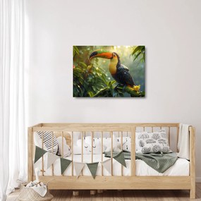 Üveg kép - Tukan (70x50 cm)
