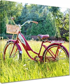 Vászonkép 50x50 Kerékpárok Két kerék