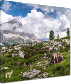 Vászonkép 90x90 Bárány a hegyekben Kilátás