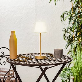 Asztali lámpa sárgaréz LED-del, újratölthető, érintőképernyős dimmerrel - Renata