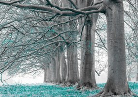 Poszter 100x70cm Fák egy sorban türkiz levelek, Assaf Frank