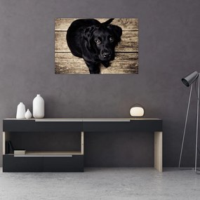 Egy fekete kiskutya képe (90x60 cm)