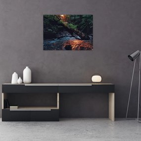 Hegyi folyó képe (üvegen) (70x50 cm)