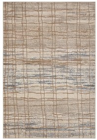 Bézs szőnyeg 240x340 cm Terrain – Hanse Home