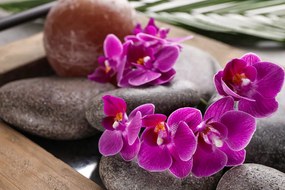 Öntapadó fotótapéta csodás orchidea Zen kövekkel