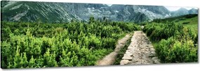 Vászonkép 150x50 Kő út Tátra