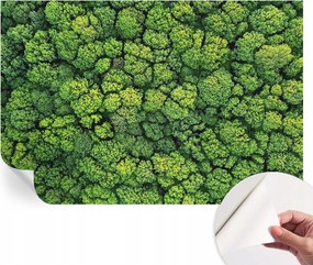 Öntapadós Dekoratív Fotótapéta Hálószobába Erdei panoráma 104x70 cm