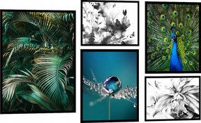 XXL Nagy Szett 5db-os Vászonkép Poszter KP077