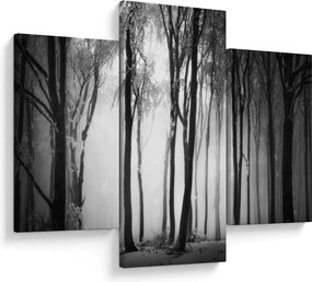 Kép - Farkas a sötét erdőben (90x60 cm)
