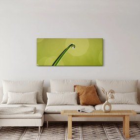 Víz csepp a fűben képe (120x50 cm)