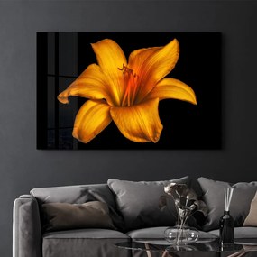 Üvegkép, 70×110 cm – CAM-5025