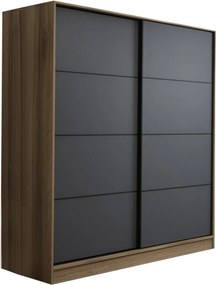 Kale - 7163