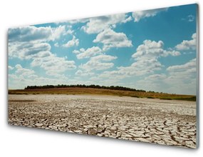 Akrilkép Fekvő sivatagi homok 140x70 cm