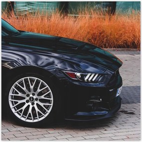 Poszterek 100x100 Ford Mustang Usa autó