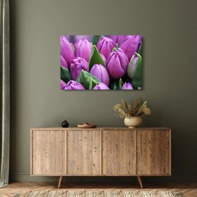Kép - tulipánok (90x60 cm)